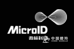 重庆微标科技股份有限公司