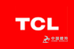 TCL新技术（惠州）有限公司