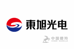 芜湖东旭光电科技有限公司