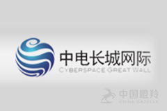 中电长城网际系统应用有限公司