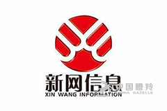 武汉新光电网科信息技术有限公司