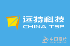 北京远特科技股份有限公司