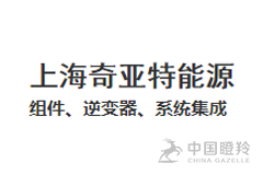 上海奇亚特能源股份有限公司